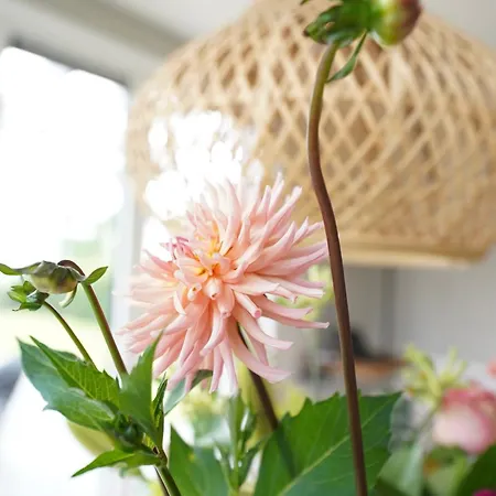 Luxe 'bold' Nabij Bos En Veluwemeer - 4 Pers Semesterbostad Ermelo