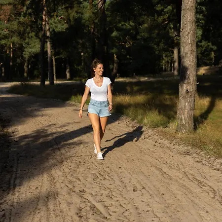 Luxe 'bold' Nabij Bos En Veluwemeer - 4 Pers *