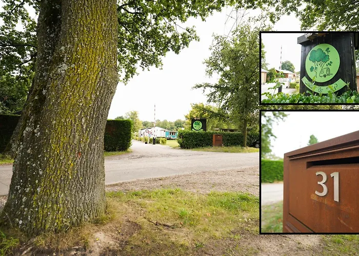 Luxe 'bold' Nabij Bos En Veluwemeer - 4 Pers Holiday home