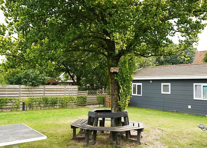 Luxe 'bold' Nabij Bos En Veluwemeer - 4 Pers Holiday home *