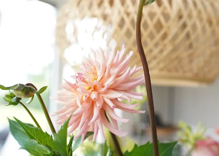 Luxe 'bold' Nabij Bos En Veluwemeer - 4 Pers Holiday home Ermelo