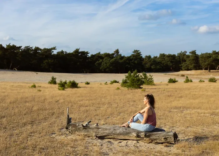 Luxe 'bold' Nabij Bos En Veluwemeer - 4 Pers Holiday home